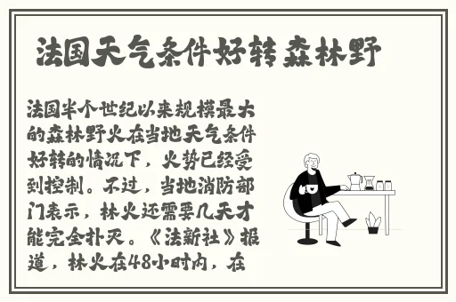 露下乳开襟t恤1777tv